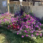 Four De Mon Pere בית נופש