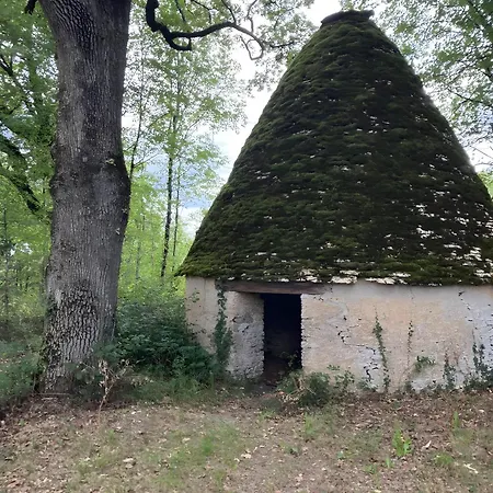 Four De Mon Pere Feriehus Salignac Eyvigues