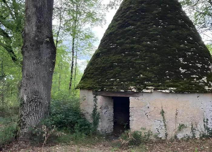 Four De Mon Pere Tatil Evi Salignac Eyvigues